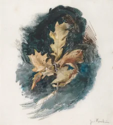 Studie eines Eichenblatts