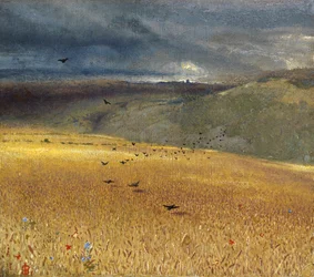 Weizenfeld
