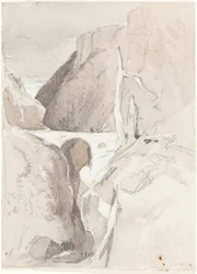 Schlucht mit Baumstümpfen