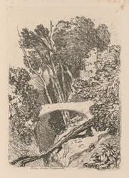 Liber Studiorum: Platte 11: Parsons Bridge, Cardingshire, 1838