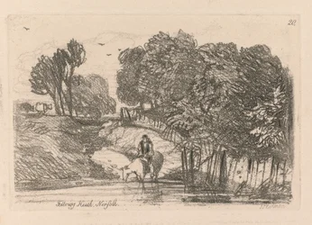 Liber Studiorum: Platte 20, Felbrigg Heath, Norfolk, 1838