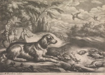 Jagdhund und Fasane