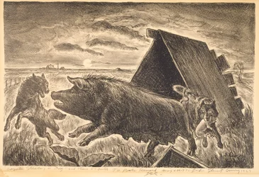 Kojoten stehlen ein Schwein