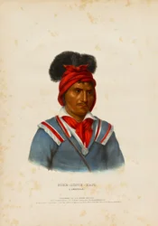 Foke-luste-hajo, ein Seminole