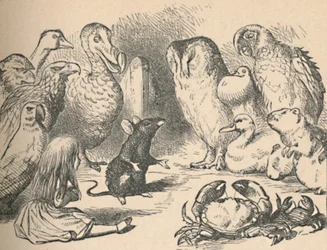 Illustration für das Kapitel ein Caucus-Rennen und ein langer Schwanz. Alice und verschiedene Kreaturen