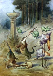 Unbekanntes Bild