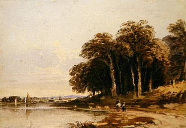 Flusslandschaft