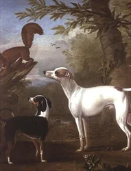 Zwei Jagdhunde, die von einem Eichhörnchen auf einem Baumstumpf angezogen werden