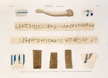 Illustrationen von Hieroglyphen und dem Arm einer Mumie aus Hypogäen, Theben, Tafel 48 aus Band II von 