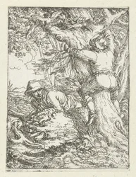 Der Nestplünderer