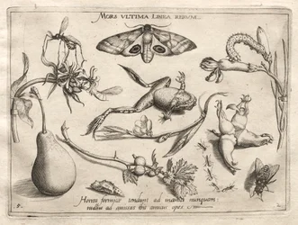 Archetypen und Studien: Der Tod ist die Linie, die das Ende markiert (Teil II, Tafel 5)