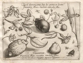 Archetypen und Studien: Was kann im Einklang mit einem so höhlenartigen Versprechen entstehen? (Teil IV, Tafel 2)