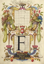 Anleitung zum Konstruieren des Buchstabens F