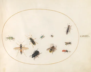 Tafel 73: Zehn Insekten