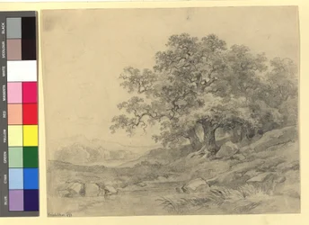Landschaftsstudie