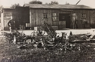 Album "Meine Weltkriegs-Erinnerungen Südwestfront (Kärnten, Italien, Südtirol) 31.03.1915-12.11.1918 - Josef Zohles Wien": Überreste eines italienischen Flugzeugs (s/w Foto)