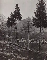 Album "Meine weltkriegs - Erinnerungen Südwestfront (Kärnten, Italien, Südtirol) 31/03/1915-12/11/1918 - Josef Zohles Wien": Trümmer von Pliczna