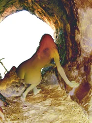In der Höhle