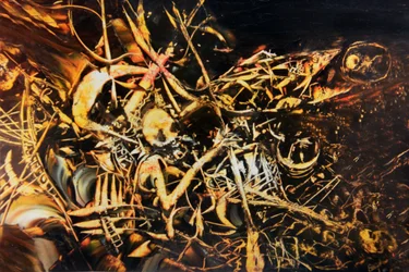 Kriegerischer Paroxysmus