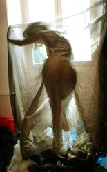 Fenster