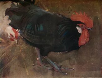 Der schwarze Hahn, ca. 1894