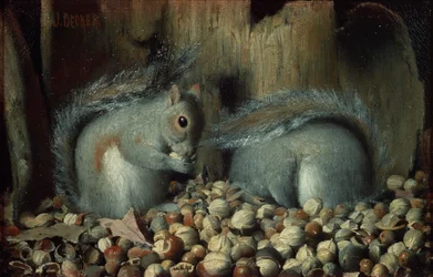 Die Vielfraße (Eichhörnchen)