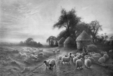 Schafe füttern, ca. 1890