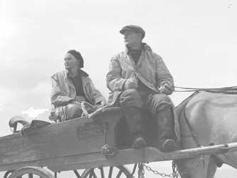 Ehemann und Ehefrau sitzen auf einem Wagen zum Herzmuschelsammeln