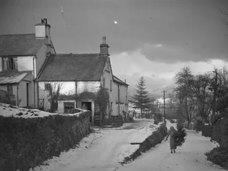 Frau trägt Ast auf Straße neben Borwick Fold Farm in Hawkshead im Schnee