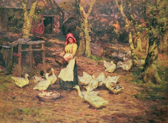Enten füttern