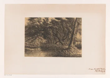 Waldlandschaft mit Teich