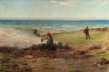 Kelpverbrennung