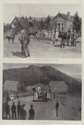 Der Krieg in Südafrika