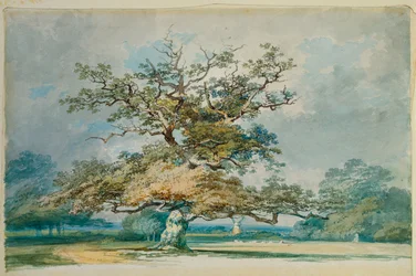 Eine Landschaft mit einer alten Eiche