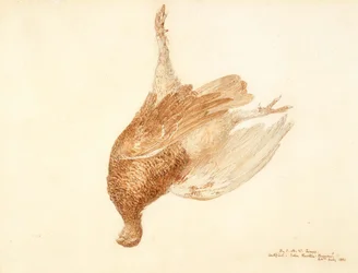 Totes Moorhuhn