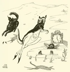 Der alte Mann Känguru (Gravur)