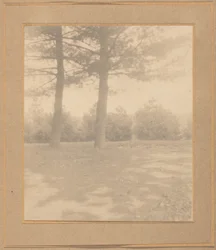 Landschaft mit Bäumen