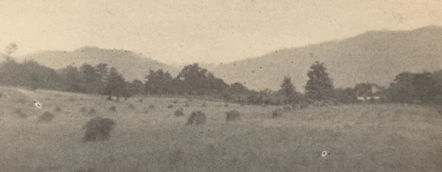 Landschaft mit Bäumen und Bergen