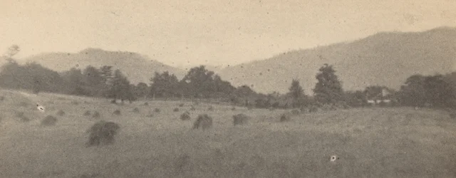 Landschaft mit Bäumen und Bergen