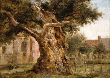 Die alte Eiche, 1870
