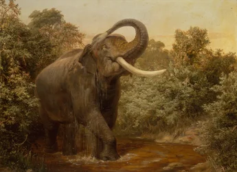 Das Monster-Tusker