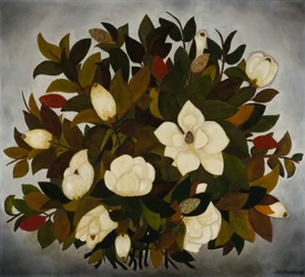 Magnolienblüten