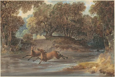 Landschaft mit Hirschen, North Carolina