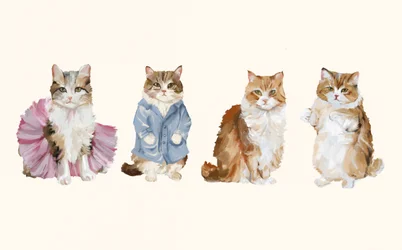 Niedlich gekleidete Katzen