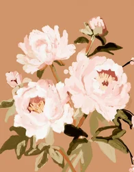 Sanfte Rosa Pfingstrosen