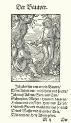 Der Bauer