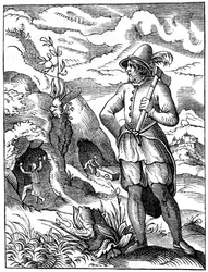 Bergmann, 16. Jahrhundert