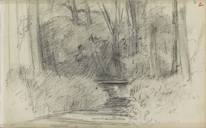 Fluss in einem Wald
