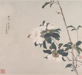Insekten und Blumen