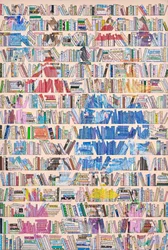 Buntes Bücherregal Bibliothek
